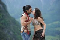Badrinath Latest Stills